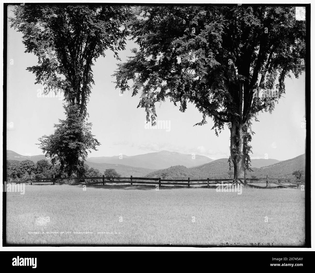 Un aperçu du mont Washington, Intervale, N.H., '4320' sur négatif., Detroit Publishing Co. No. 070484., Gift ; State Historical Society of Colorado ; 1949, Mountains. , États-Unis, New Hampshire, Intervale. , États-Unis, New Hampshire, Washington, Mount. , États-Unis, New Hampshire, White Mountains. Banque D'Images