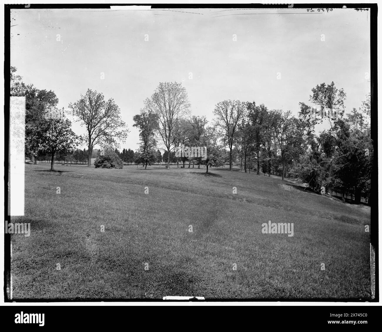 MT. Vernon, les images du vidéodisque sont hors séquence ; l'ordre réel de gauche à droite est 1A-24991, 24990, 24992., fait partie d'un panorama plus grand ; autre(s) section(s) pas dans la collection., '6195' et 'interdit' sur tous les négatifs., Detroit Publishing Co. No. 090020., Gift ; State Historical Society of Colorado ; 1949, Washington, George,,, 1732-1799, maisons et repaires. , Estates. , Habitations. , États-Unis, Virginie, Mount Vernon (Estate) Banque D'Images