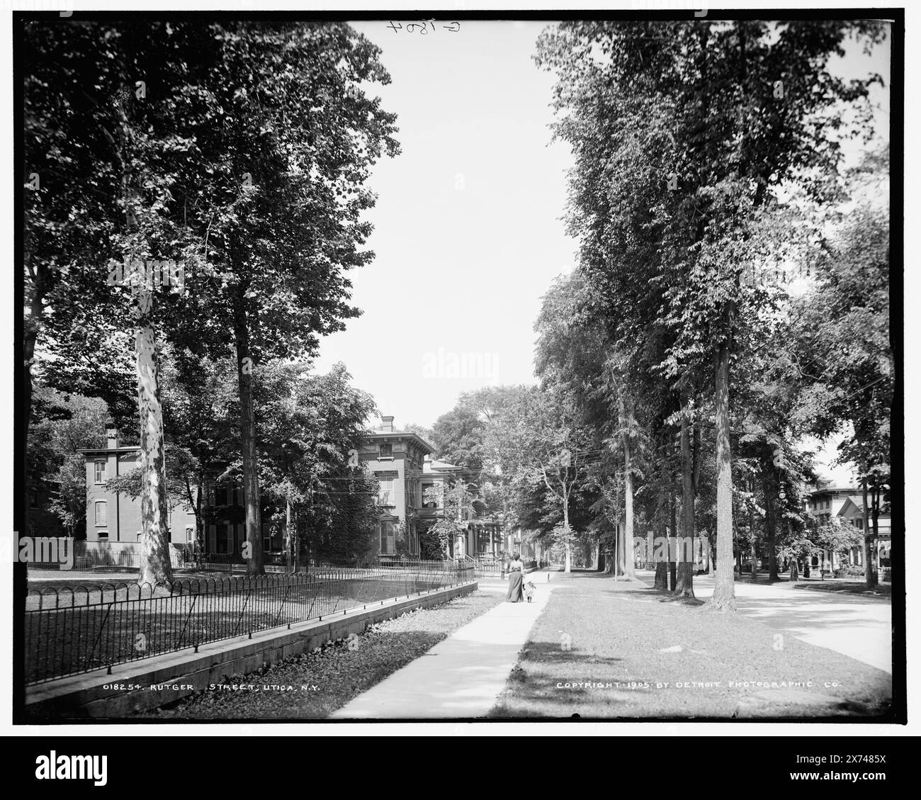 Rutger Street, Utica, N.Y., 'G 1804' sur négatif., Detroit Publishing Co. No. 018254., Gift ; State Historical Society of Colorado ; 1949, Residential Streets. , États-Unis, New York (State), Utica. Banque D'Images