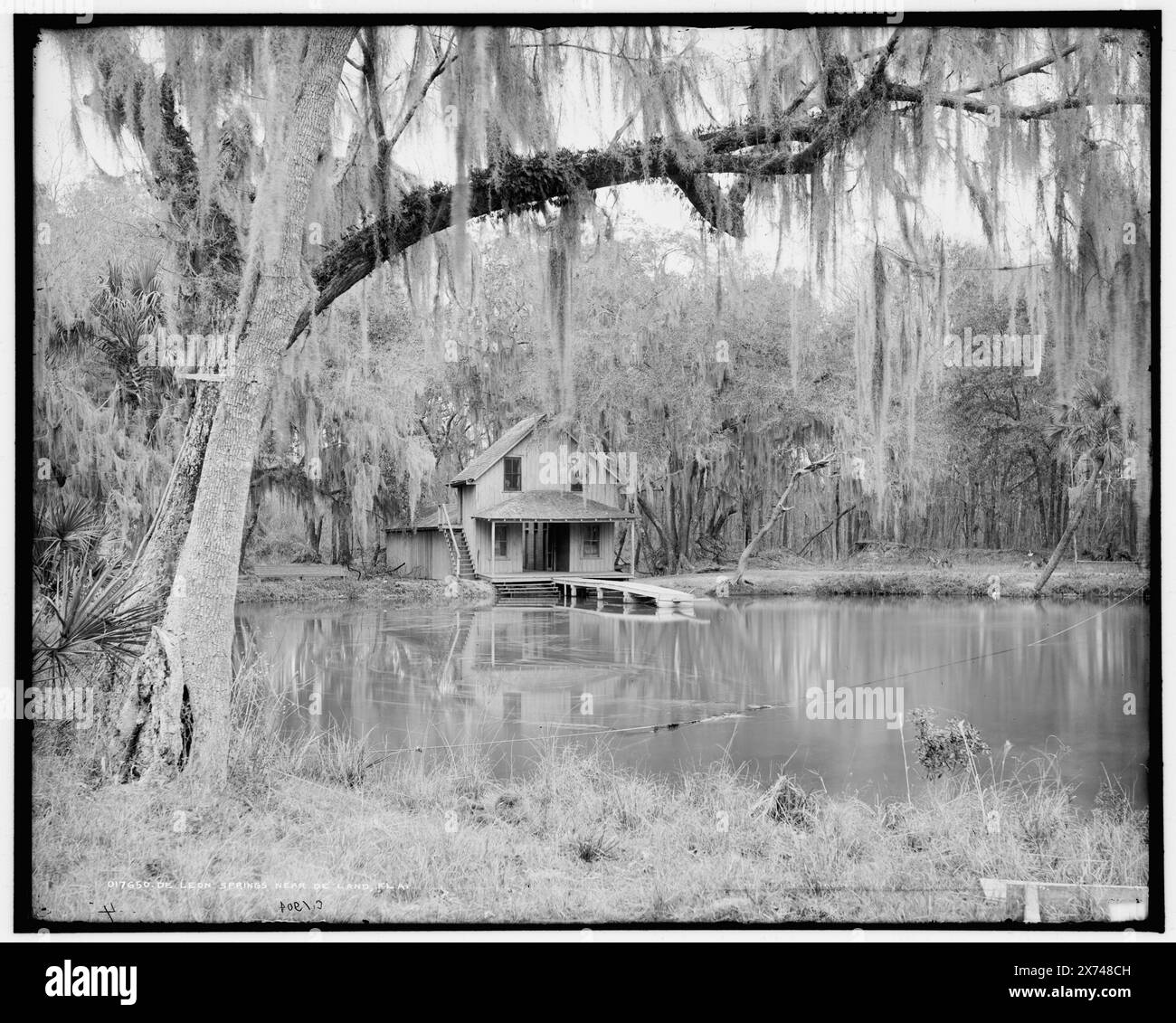 De Leon Springs près de de Land, Fla., '106' sur négatif., Detroit Publishing Co. No. 017650., Gift ; State Historical Society of Colorado ; 1949, Springs. , Mousse espagnole. , États-Unis, Florida, de Land. Banque D'Images