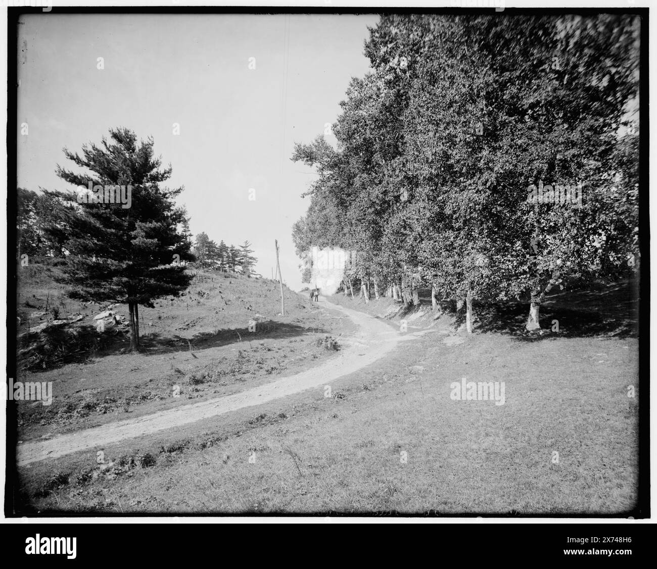 Ethan Allen Farm, Over the Hill, Burlington, Vt., titre de veste., fait partie de Ethan Allen Park., 'G 8560' sur négatif., Detroit Publishing Co. no. 500338., Gift ; State Historical Society of Colorado ; 1949, Parks. , Routes. , États-Unis, Vermont, Burlington. Banque D'Images