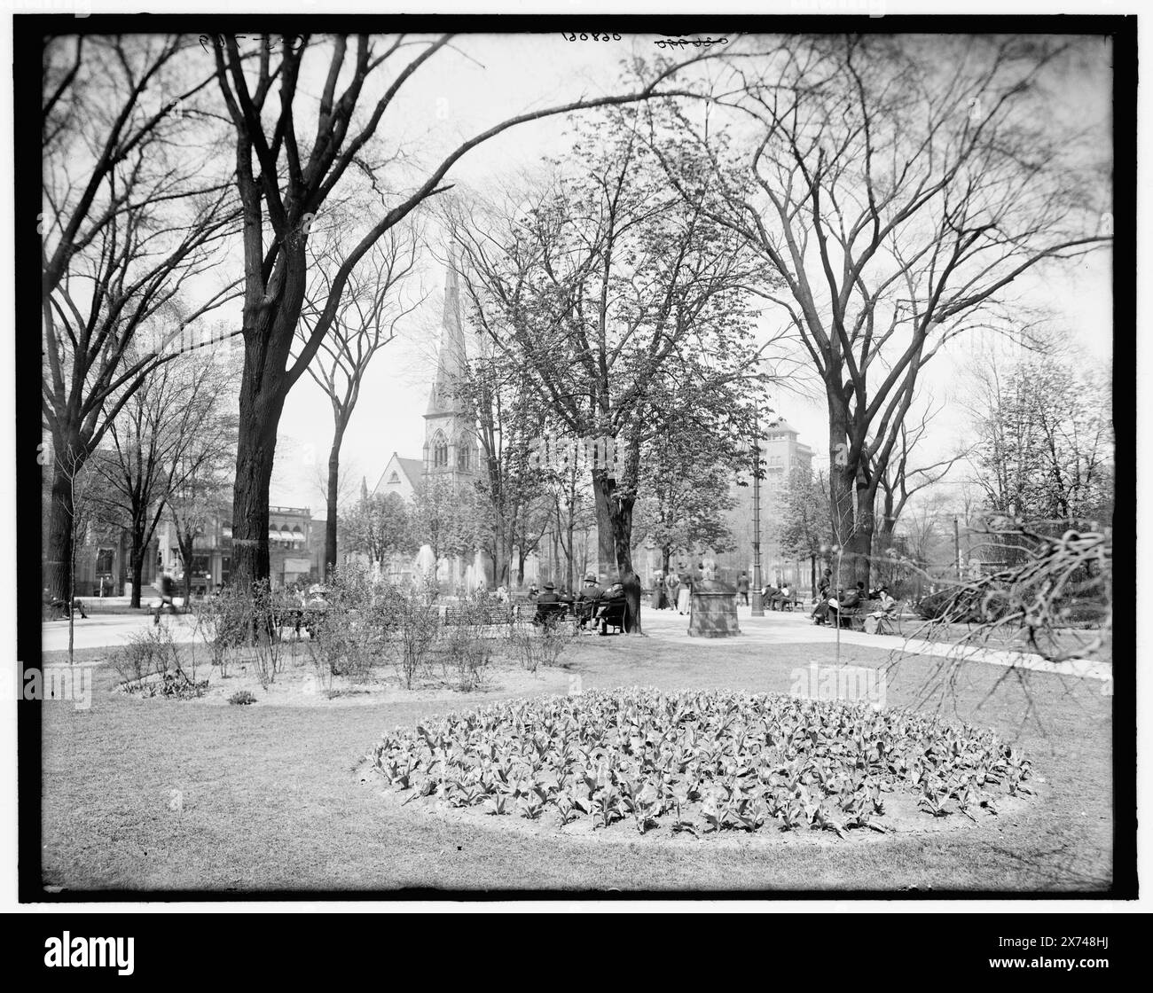 Grand Circus Park, Detroit, Mich., titre tiré de la veste., '036990' et 'G 5769' sur négatif., Detroit Publishing Co. No. 068061., Gift ; State Historical Society of Colorado ; 1949, Parks. , Tulipes. , États-Unis, Michigan, Detroit. Banque D'Images