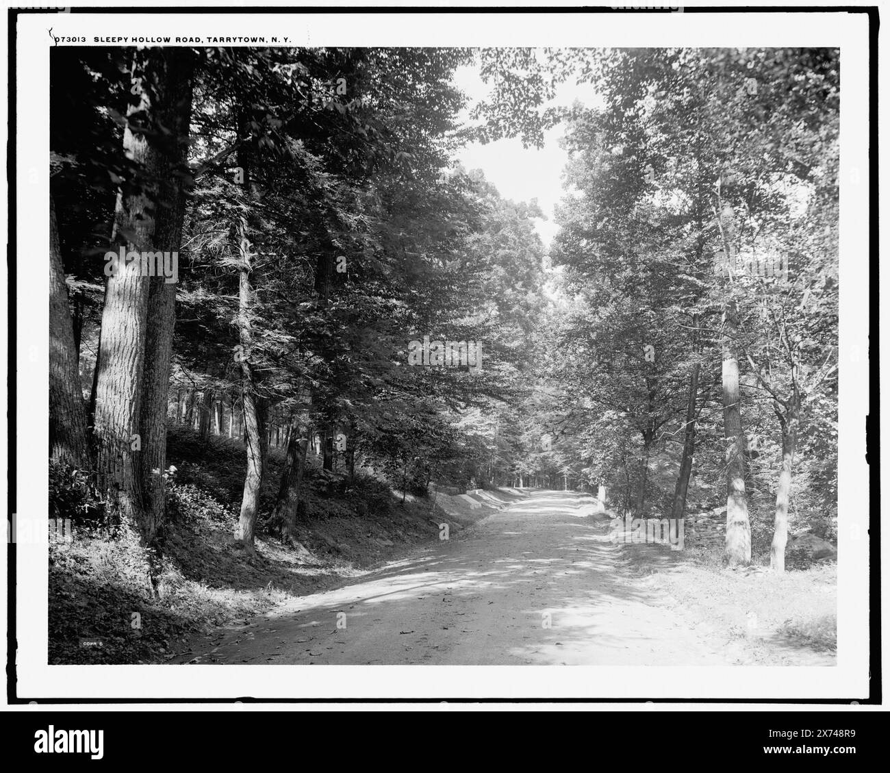 Sleepy Hollow Road, Tarrytown, New York, Detroit Publishing Co. 073013., Gift ; State Historical Society of Colorado ; 1949, Roads. , États-Unis, New York (State), North Tarrytown. Banque D'Images