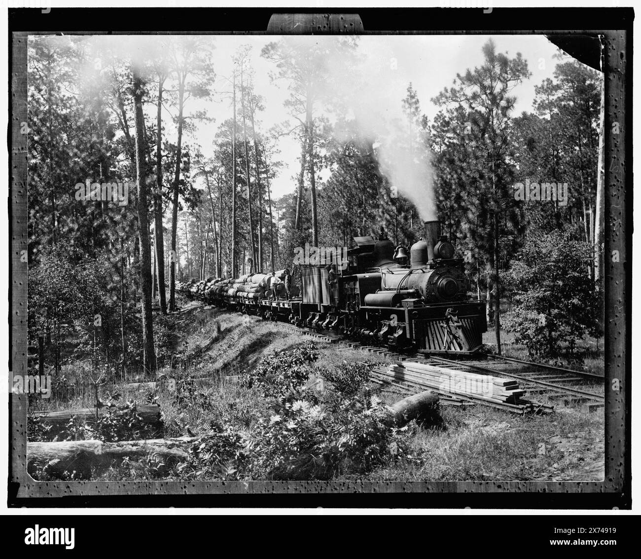 Train en rondins, titre de la veste., photographie d'un tirage photographique., Detroit Publishing Co. No. 9542., Gift ; State Historical Society of Colorado ; 1949, Lumber Industry. , Chemins de fer. , Expédition. Banque D'Images