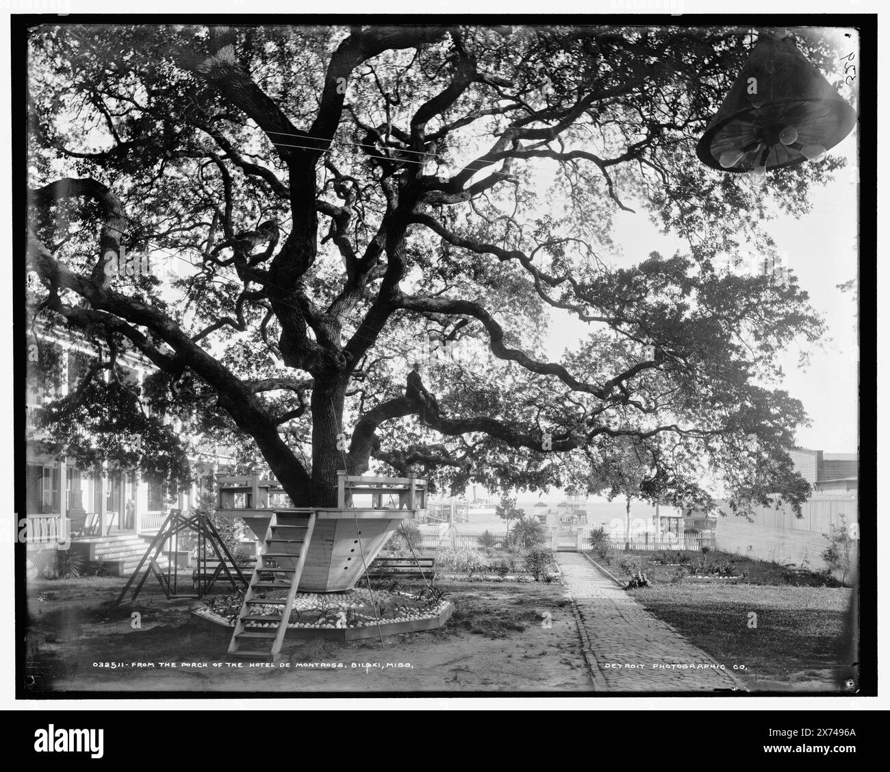 Du porche de l'Hôtel de Montrose, Biloxi, Miss., peut-être Montross House., '529' sur négatif., Detroit Publishing Co. no. 32511., Gift ; State Historical Society of Colorado ; 1949, Hôtels. , Arbres. , États-Unis, Mississippi, Biloxi. Banque D'Images