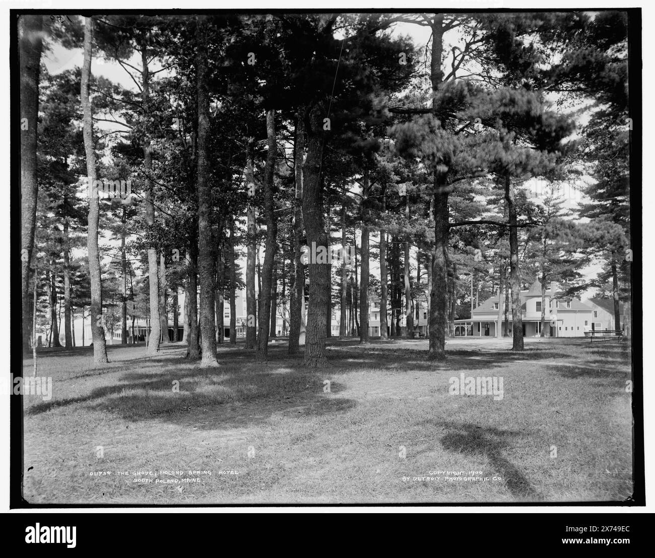 The Grove, Poland Spring Hotel, South Poland, Maine, '159' sur négatif., Detroit Publishing Co. no. 011734., Gift ; State Historical Society of Colorado ; 1949, Poland Spring House (Poland Spring, Me.) , Hôtels. , Arbres. , États-Unis, Maine, Pologne Spring. Banque D'Images