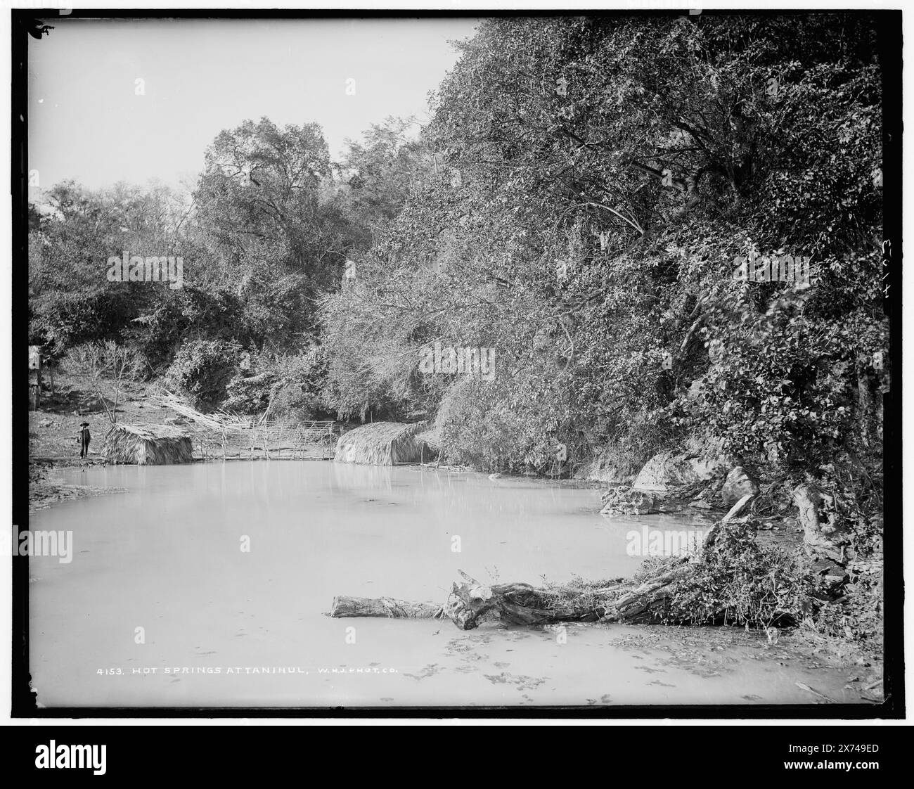 Sources chaudes à Taninul, 'W.H.J. Phot. Co' et '45' sur négatif., Detroit Publishing Co. No. 4153., Gift ; State Historical Society of Colorado ; 1949., informations non vérifiées dans ce dossier. 752 Field, Springs. , Mexique, Taninul. Banque D'Images