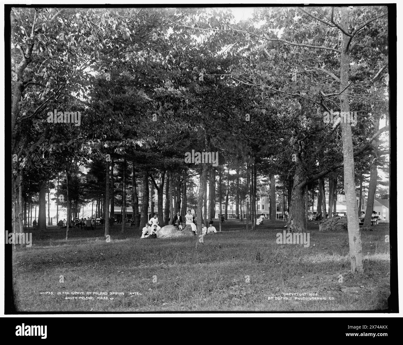 Dans le bosquet de Poland Spring Hotel, South Poland, Maine, '158' sur négatif., Detroit Publishing Co. no. 011735., Gift ; State Historical Society of Colorado ; 1949, Poland Spring House (Poland Spring, Me.) , Hôtels. , Arbres. , États-Unis, Maine, Pologne Spring. Banque D'Images