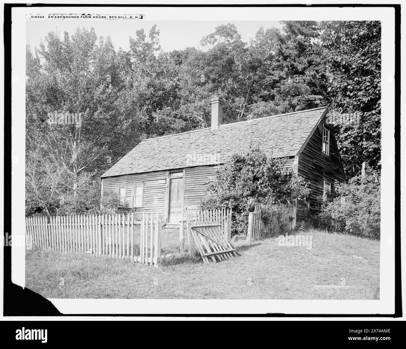 Une ferme abandonnée, Red Hill i.e. Center Harbor, N.H., '2911' sur négatif., Detroit Publishing Co. No. 018966., Gift ; State Historical Society of Colorado ; 1949, Farmhouses. , Bâtiments abandonnés. , États-Unis, New Hampshire, Center Harbor. Banque D'Images