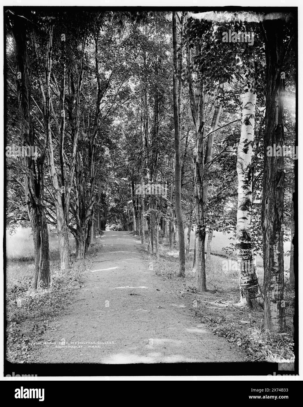 Chemin ombragé, Mt. Mount Holyoke College, South Hadley, Mass., négatif fissuré côté gauche., '4090' sur négatif., Detroit Publishing Co. No. 070343., Gift ; State Historical Society of Colorado ; 1949, universités et collèges. , Trails & Paths. , États-Unis, Massachusetts, South Hadley. Banque D'Images