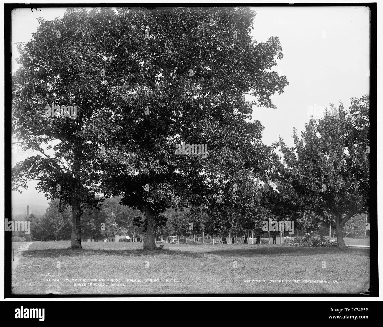 Vers la maison de printemps, Poland Spring Hotel, South Poland, Maine, '157' sur négatif., Detroit Publishing Co. no. 011733., Gift ; State Historical Society of Colorado ; 1949, Poland Spring House (Poland Spring, Me.) , Hôtels. , États-Unis, Maine, Pologne Spring. Banque D'Images