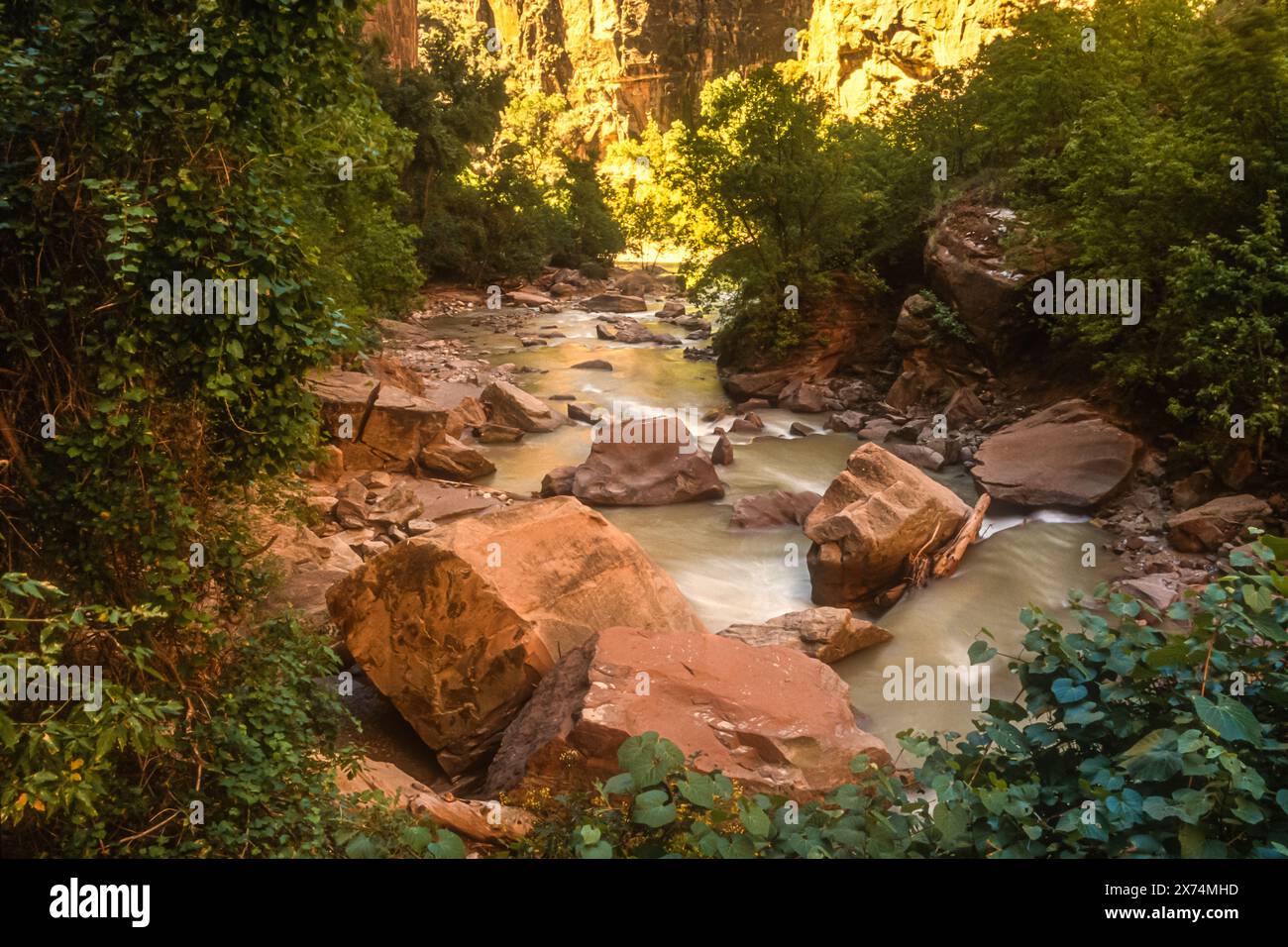 Vue panoramique sur les rochers de la Virgin River le long de la promenade de Zion Narrows Riverside Walk dans le canyon de Zion au parc national de Zion dans le sud de l'Utah. (ÉTATS-UNIS) Banque D'Images
