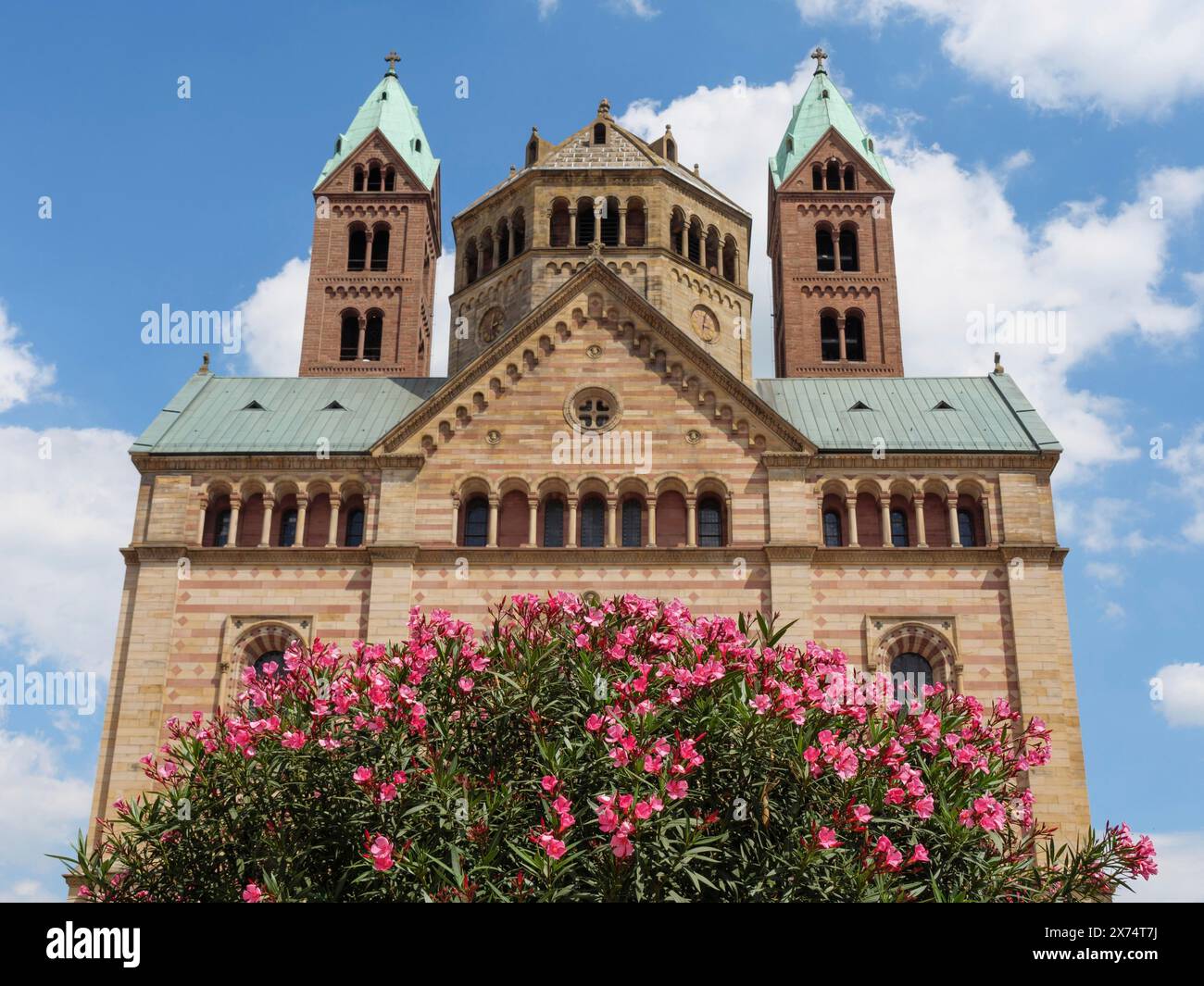 Cathédrale historique avec deux tours, fleurs roses en fleurs au premier plan et ciel bleu, fleurs en fleurs en fleurs devant une église avec deux tours Banque D'Images