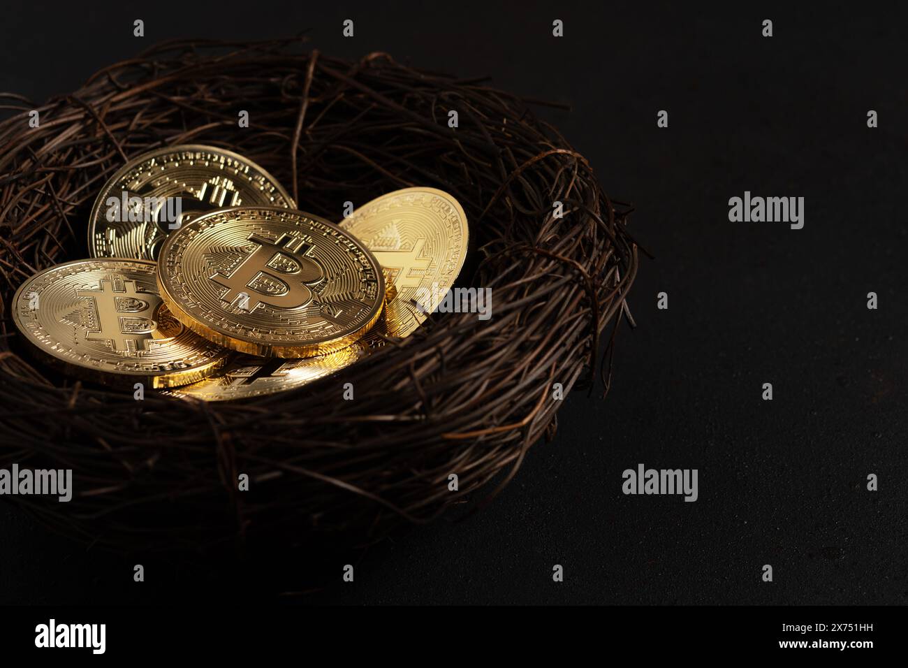 Pâques Gold Bitcoin coins dans le nid sur fond noir. Concept minimal. Banque D'Images