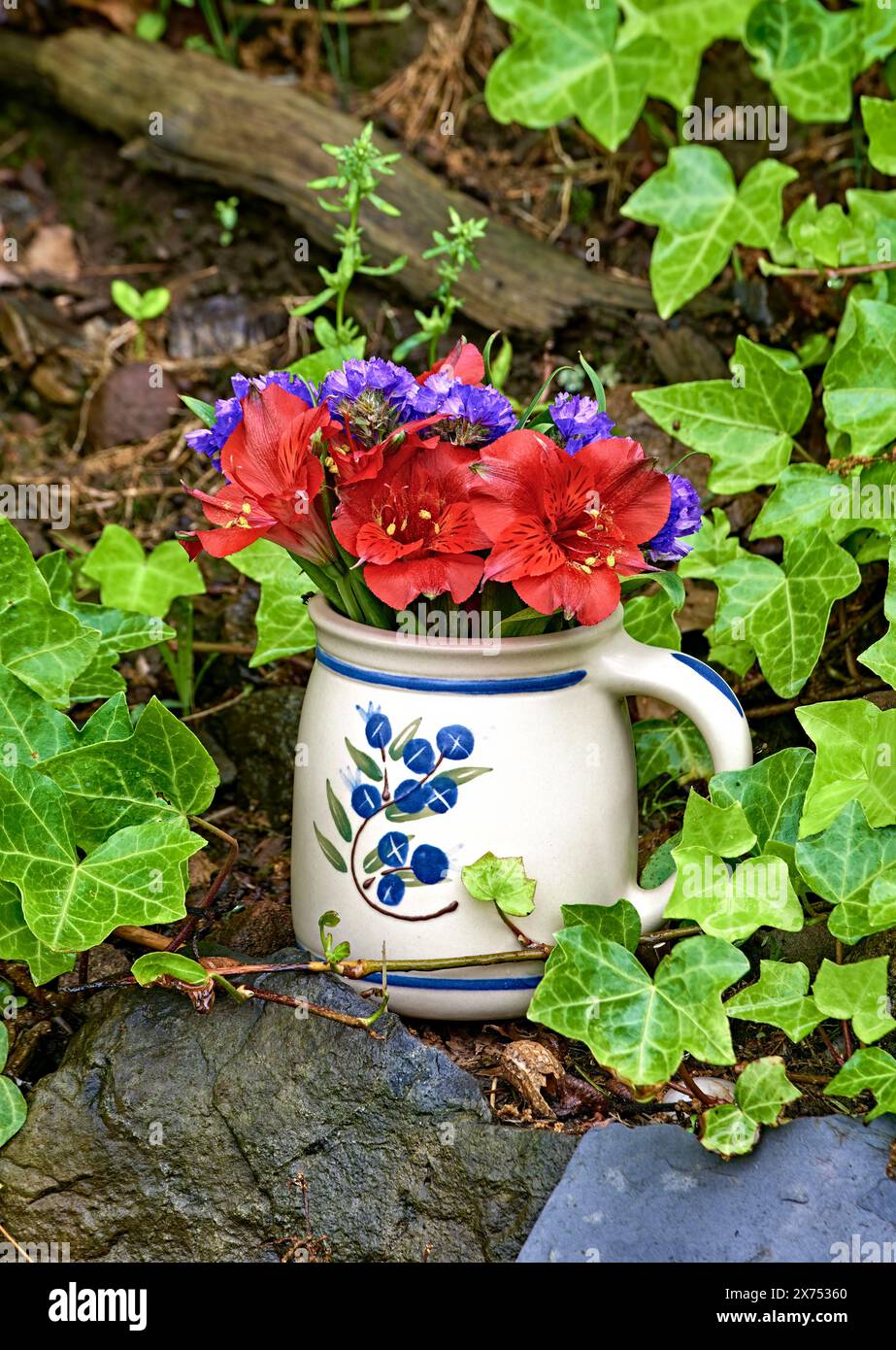 Une nature morte de fleurs de Saint Martin Lily et de fleurs violettes Statice. Dans un petit vase de tasse. Sur un mur avec lierre. Banque D'Images