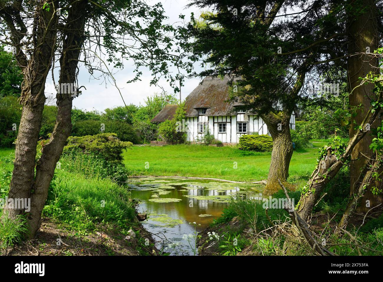 'Ruttels' chez Butts Green Banque D'Images