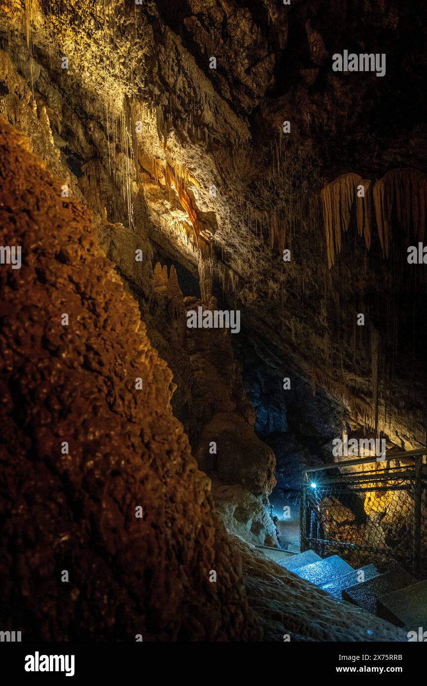 Intérieur de la grotte de Marakoopa, mole Creek Tasmanie Banque D'Images