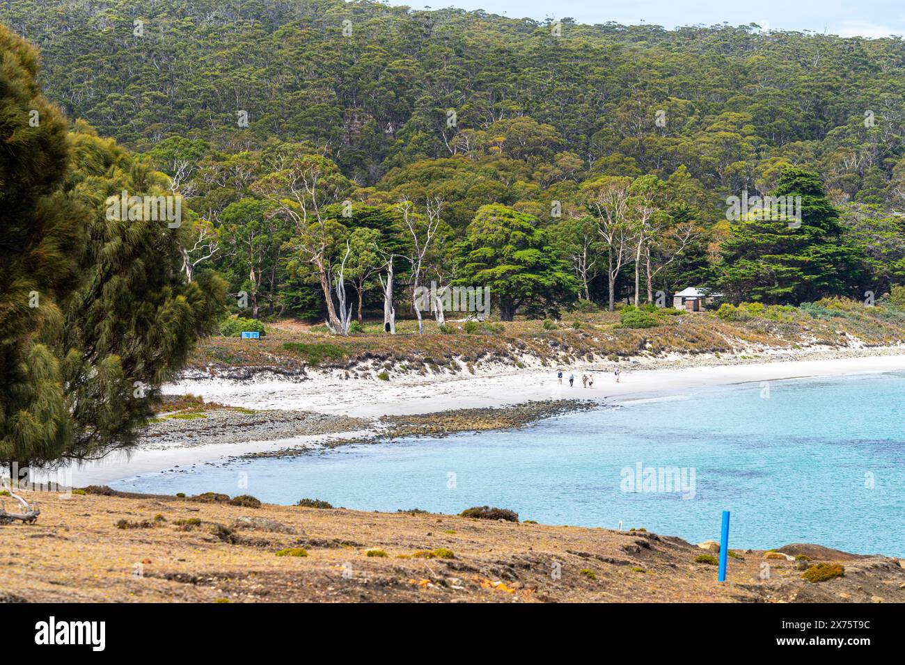 Rutherford Beach, Maria Island, Tasmanie Banque D'Images