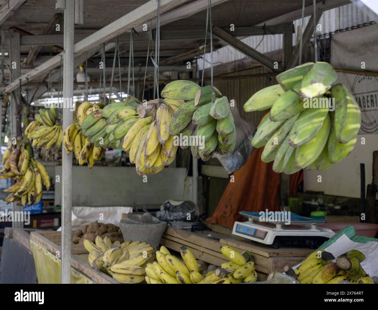 Bananes suspendues avec une corde de raphia dans un marché animé contre un fond de mur en bois Banque D'Images