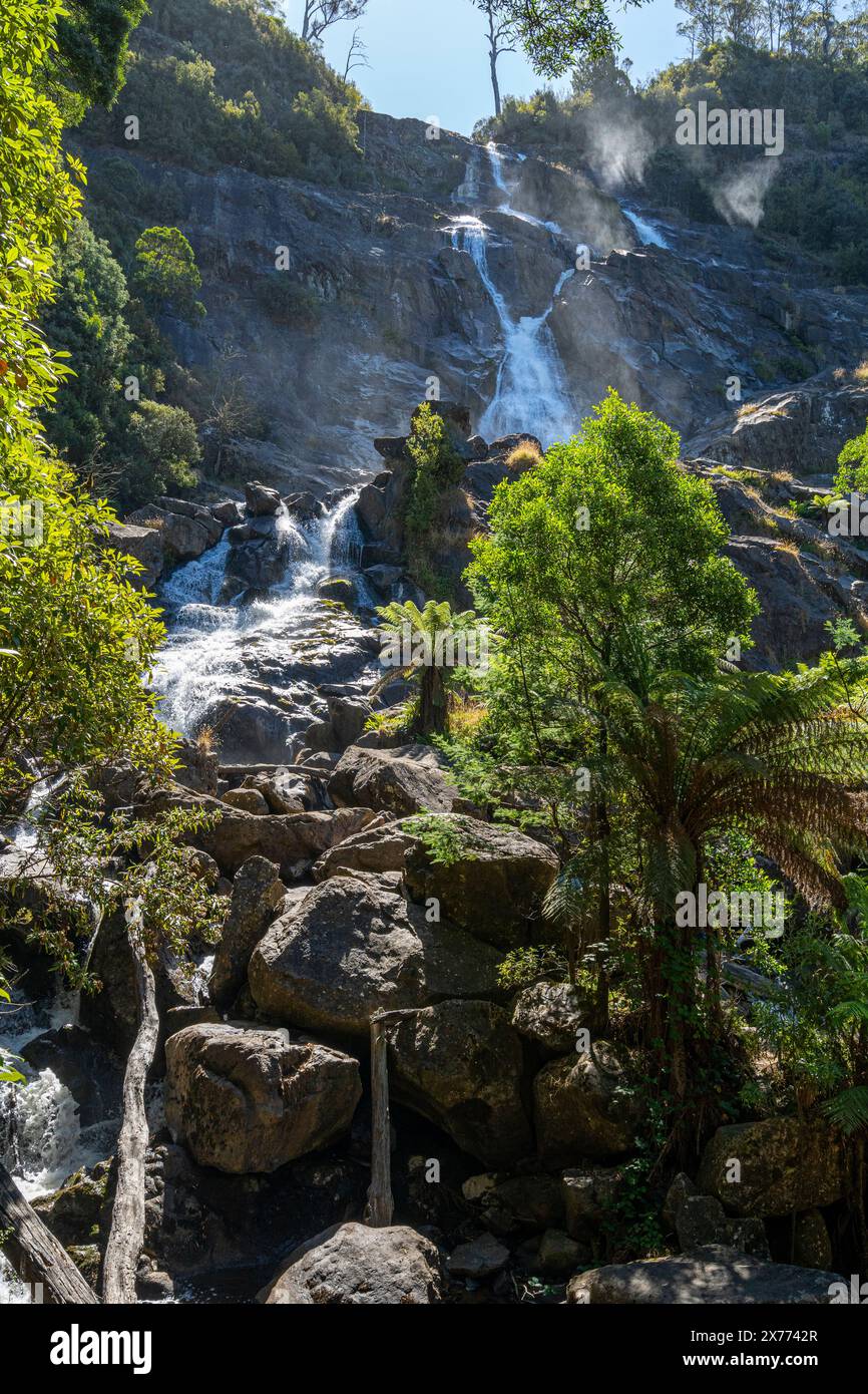 St Columba Falls, Pyengana, Tasmanie Banque D'Images