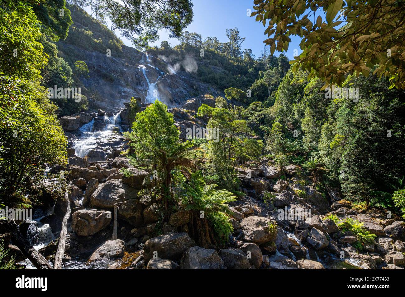 St Columba Falls, Pyengana, Tasmanie Banque D'Images