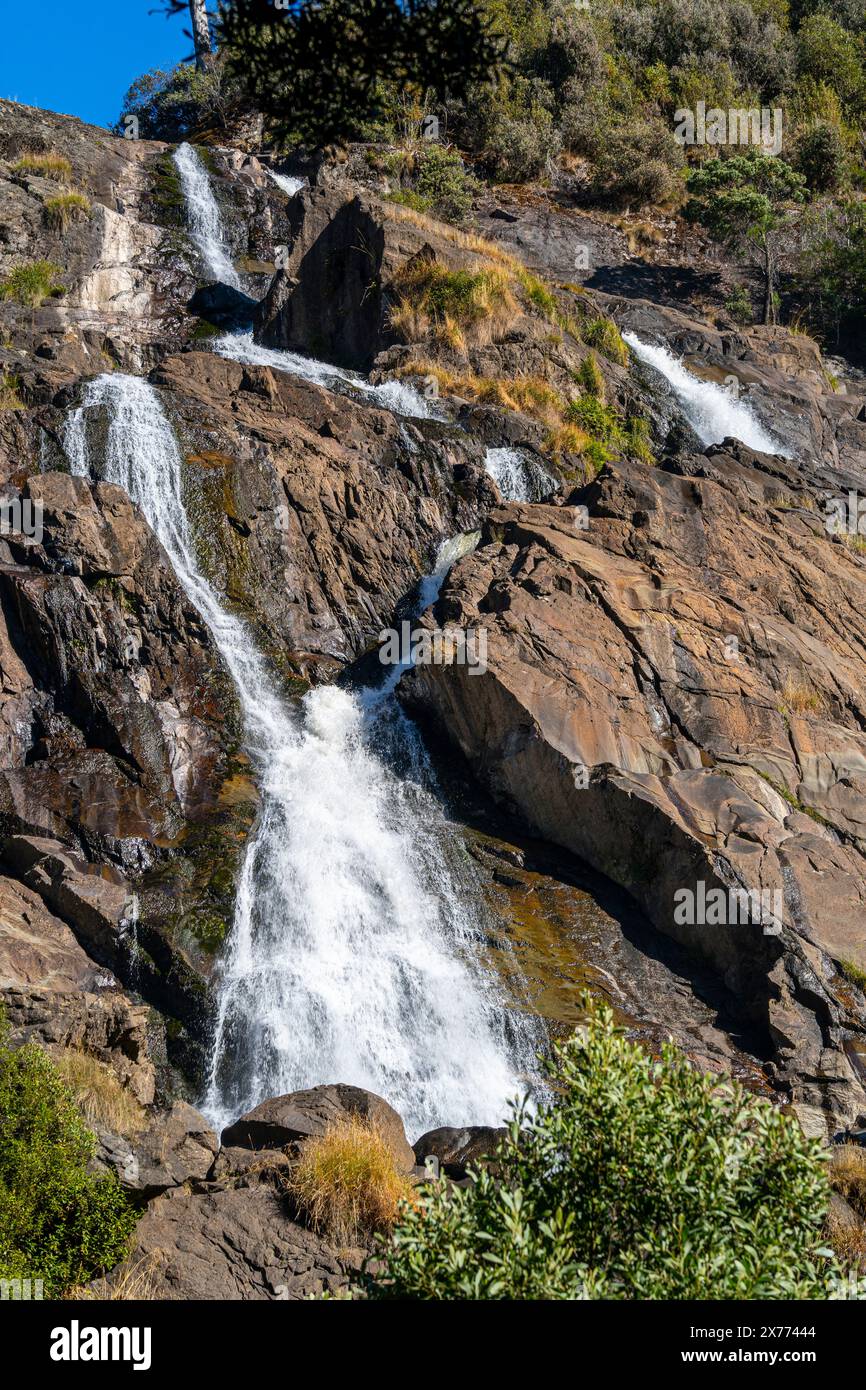 St Columba Falls, Pyengana, Tasmanie Banque D'Images