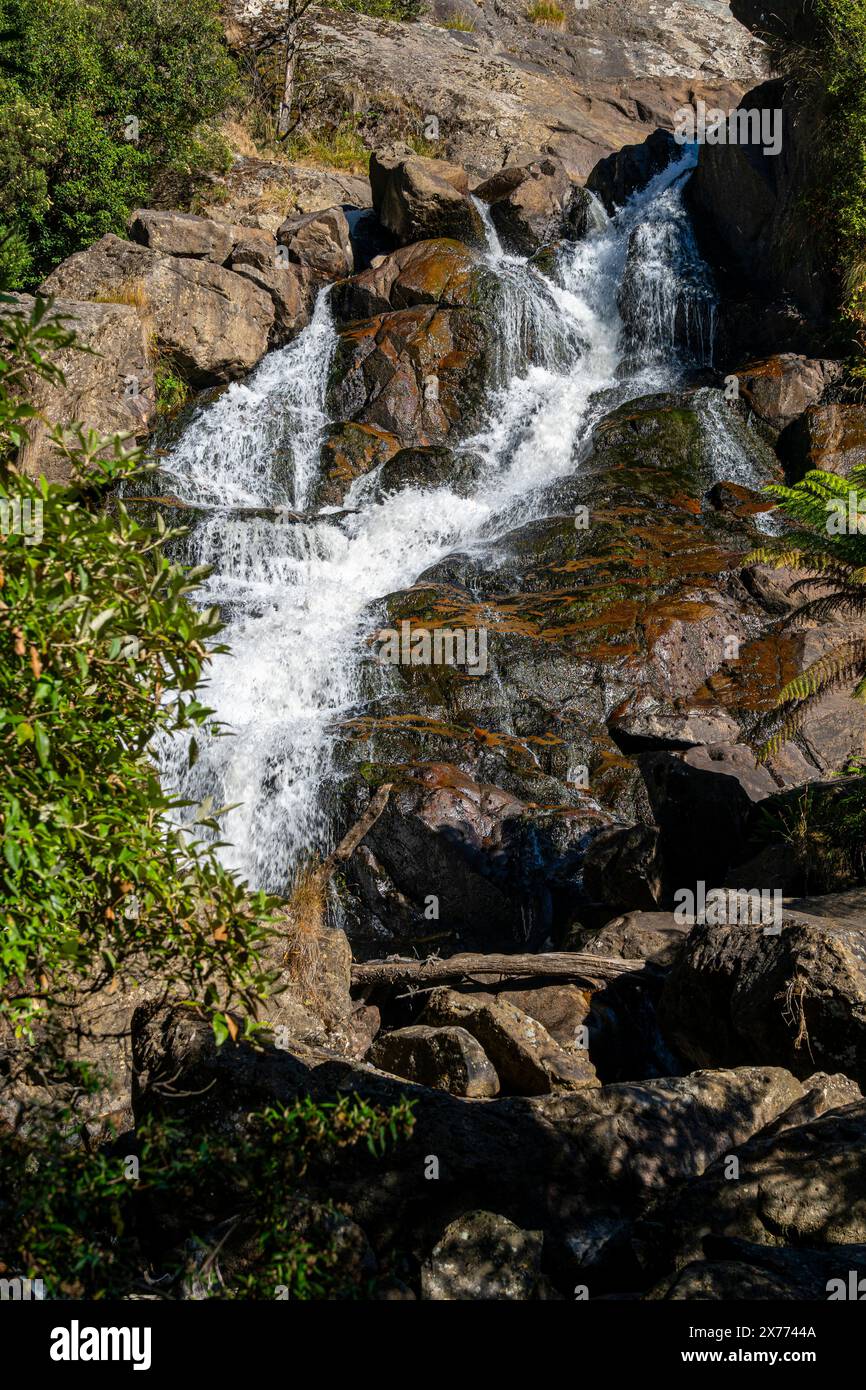 St Columba Falls, Pyengana, Tasmanie Banque D'Images