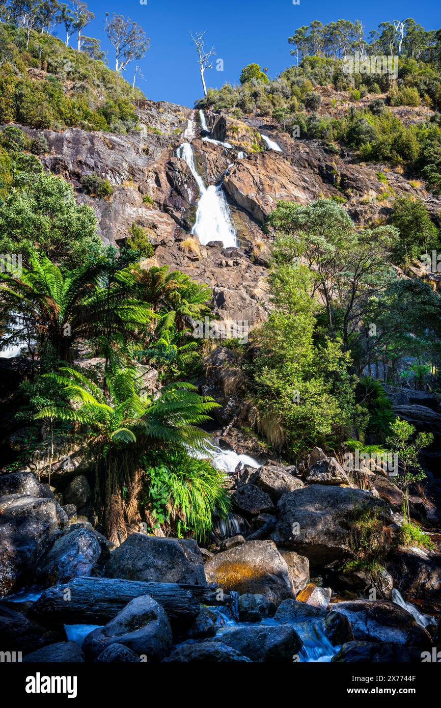 St Columba Falls, Pyengana, Tasmanie Banque D'Images