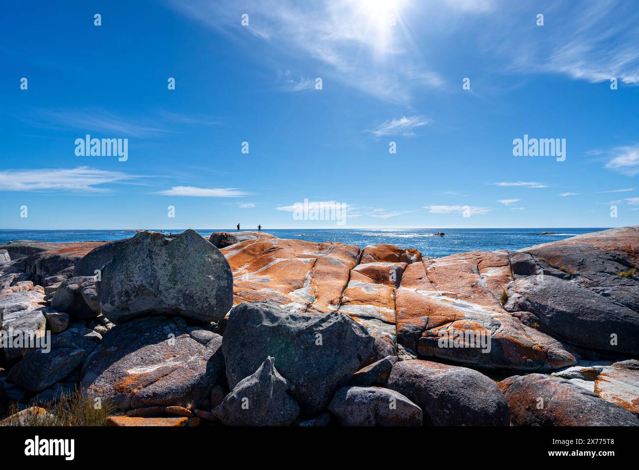 Lichens orange recouvrant les roches granitiques, les jardins, la baie de feux, Tasmanie Banque D'Images