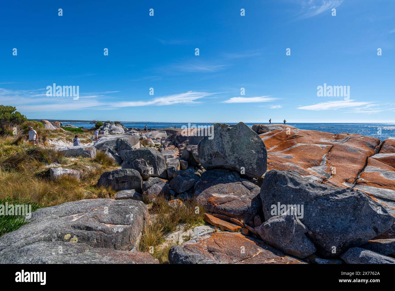 Lichens orange recouvrant les roches granitiques, les jardins, la baie de feux, Tasmanie Banque D'Images