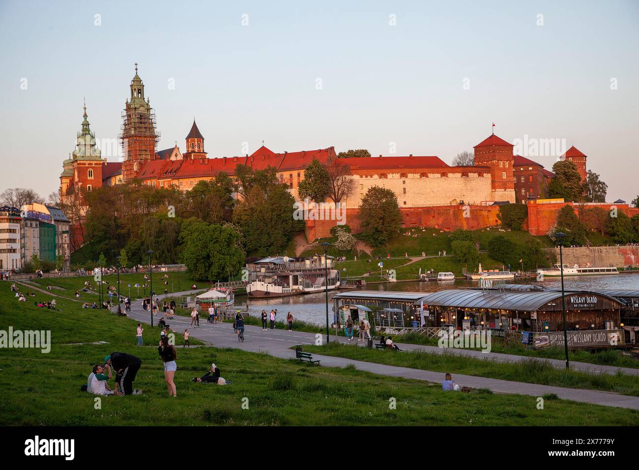 Château royal de Wawel, Cracovie - Zamek Królewski na Wawelu Banque D'Images