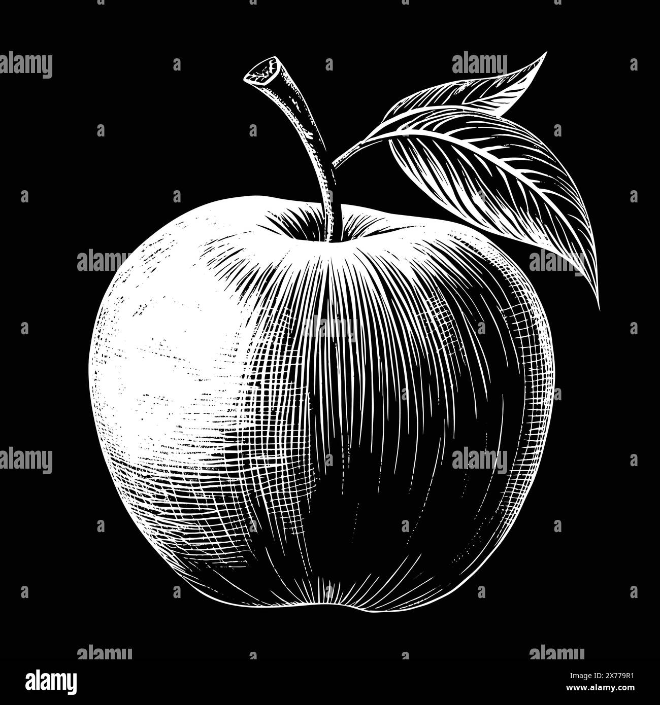 Une pomme avec des feuilles sur le dessus, noir et blanc, isolée sur un fond blanc. Illustration de Vecteur