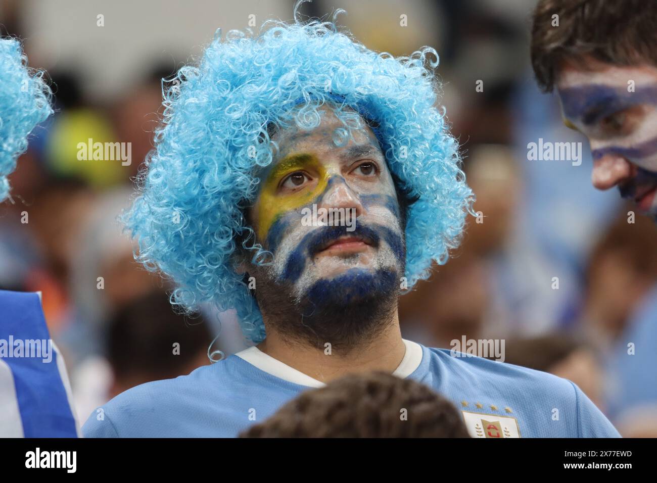 Lusail, Qatar. 28 novembre 2022. Uruguay fans lors du match entre Portugal vs Uruguay, Groupe H, Coupe du monde de la FIFA Qatar 2022. Banque D'Images