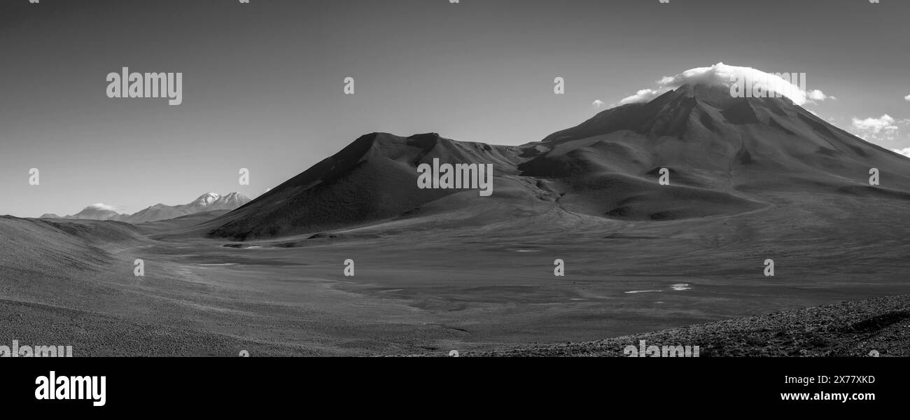 Paysage typique de l'altiplano chilien près de San Pedro de Atacama, Chili. Banque D'Images
