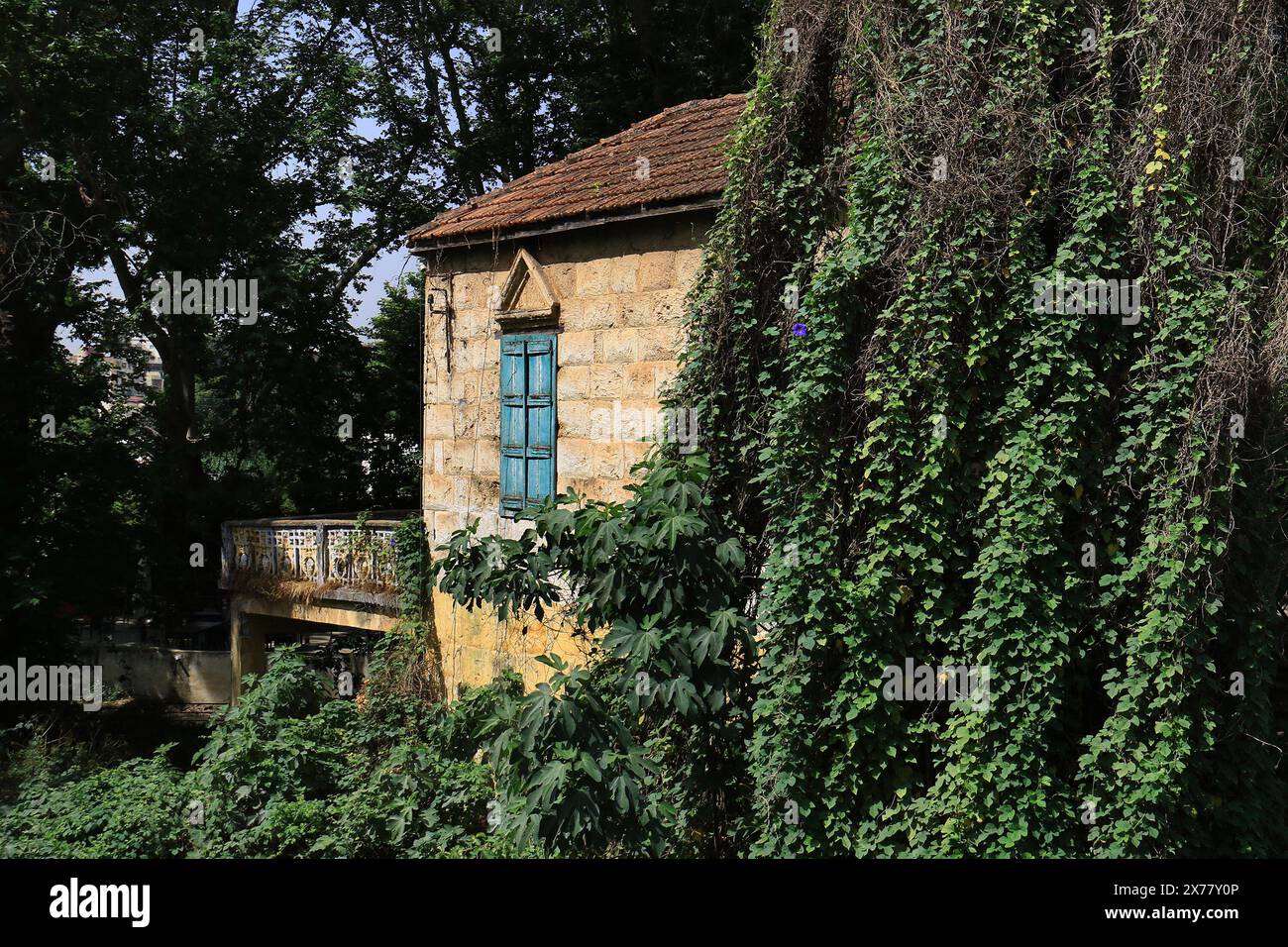 Une maison libanaise traditionnelle au coeur de la nature verdoyante. Banque D'Images