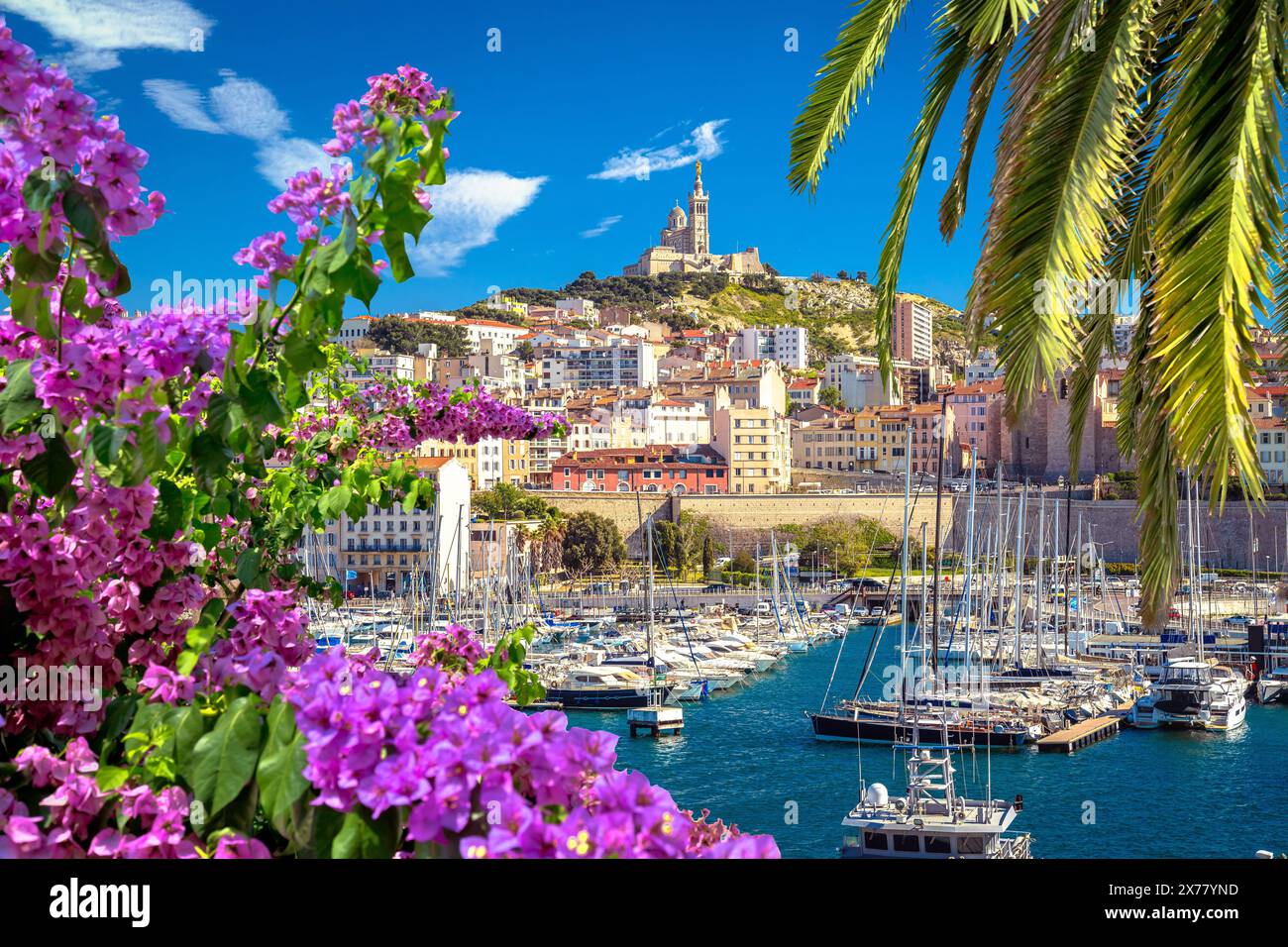 Ville de Marseille port et église notre Dame de la Garde sur la colline fleur et palmier vue, sud de la France Banque D'Images