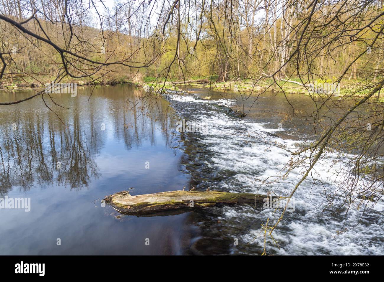 Rivière Dyje dans le parc national de Podyji près de la ville de Znojmo dans la région de Moravie du Sud de la République tchèque, Europe. Banque D'Images