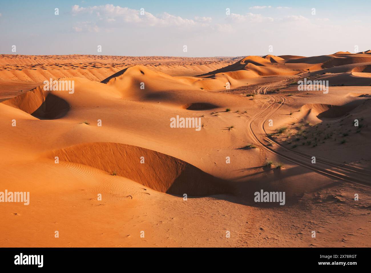 Une piste d'un véhicule serpente entre la vaste étendue de dunes de sable à Sharqiya Sands, une destination touristique populaire d'Oman Banque D'Images Une piste d'un véhicule serpente entre la vaste étendue de dunes de sable à Sharqiya Sands, une destination touristique populaire d'Oman Banque D'Images