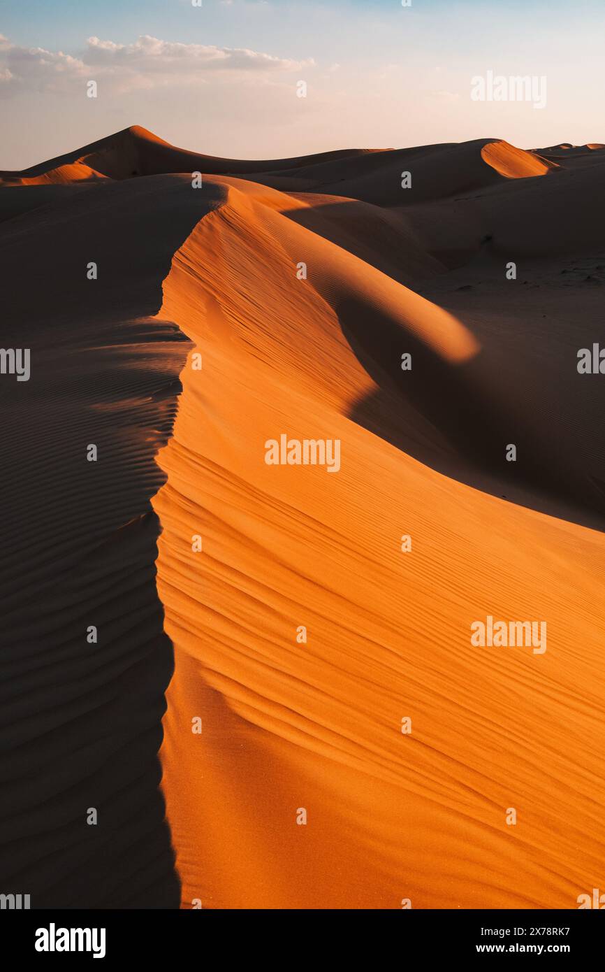 Le soleil à faible heure dorée crée un contraste saisissant et montre des ondulations balayées par le vent sur une crête dune de sable à Sharqiya Sands, Oman Banque D'Images