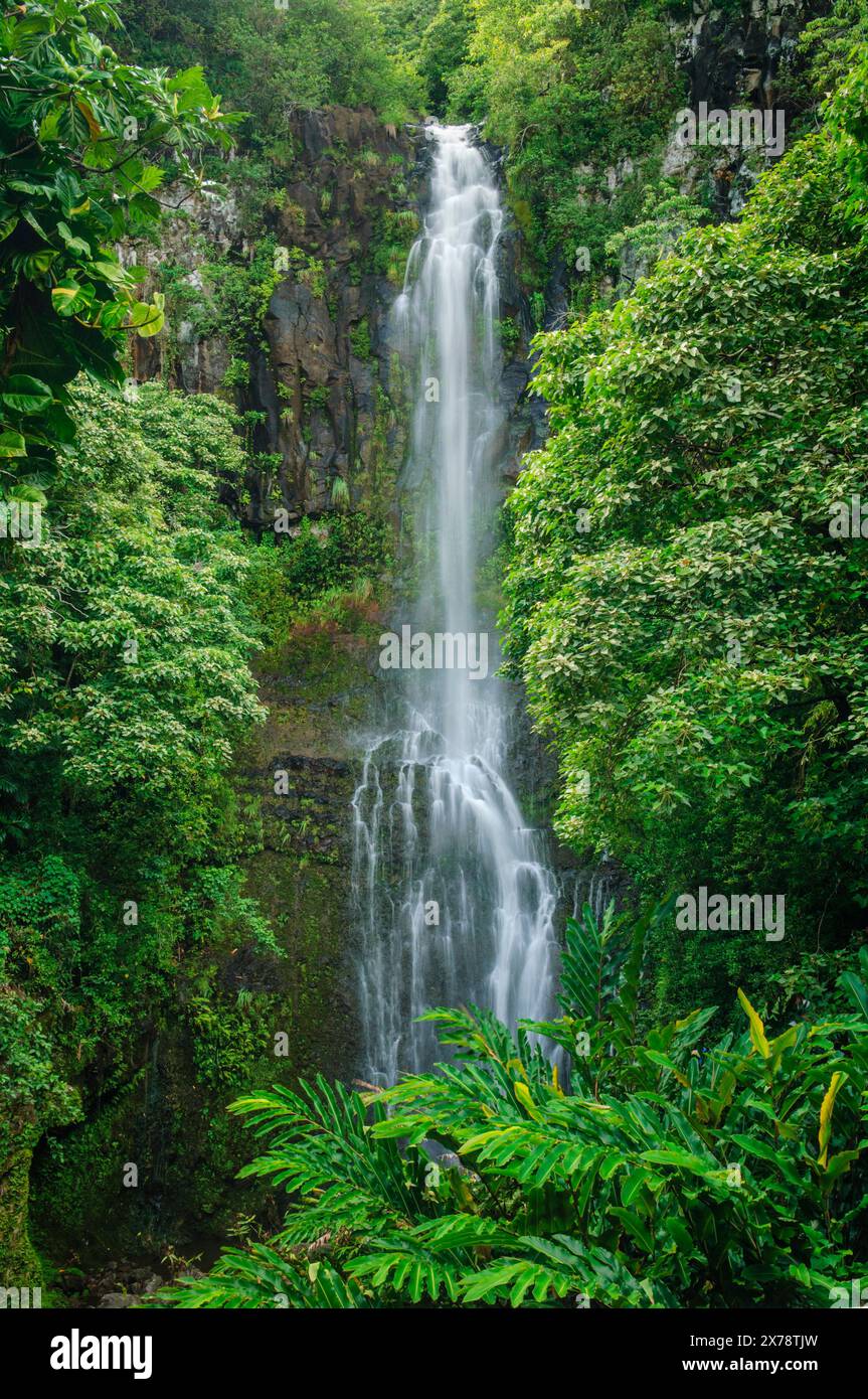 Wailua Falls, District de Kipahulu, Hana Coast, Maui, Hawaii. Banque D'Images