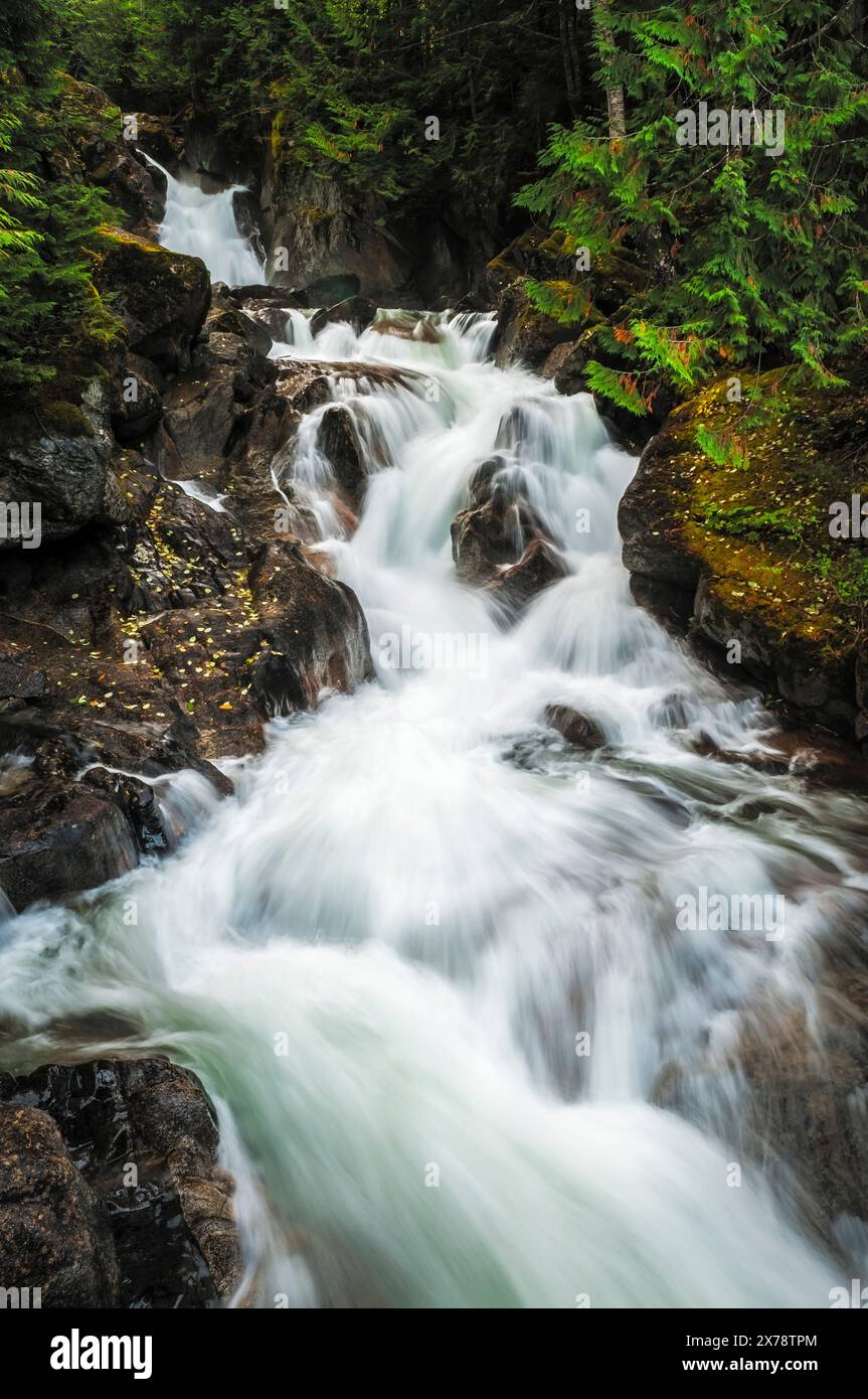 La tromperie, le mont Baker-Snoqualmie Falls National Forest, Washington. Banque D'Images