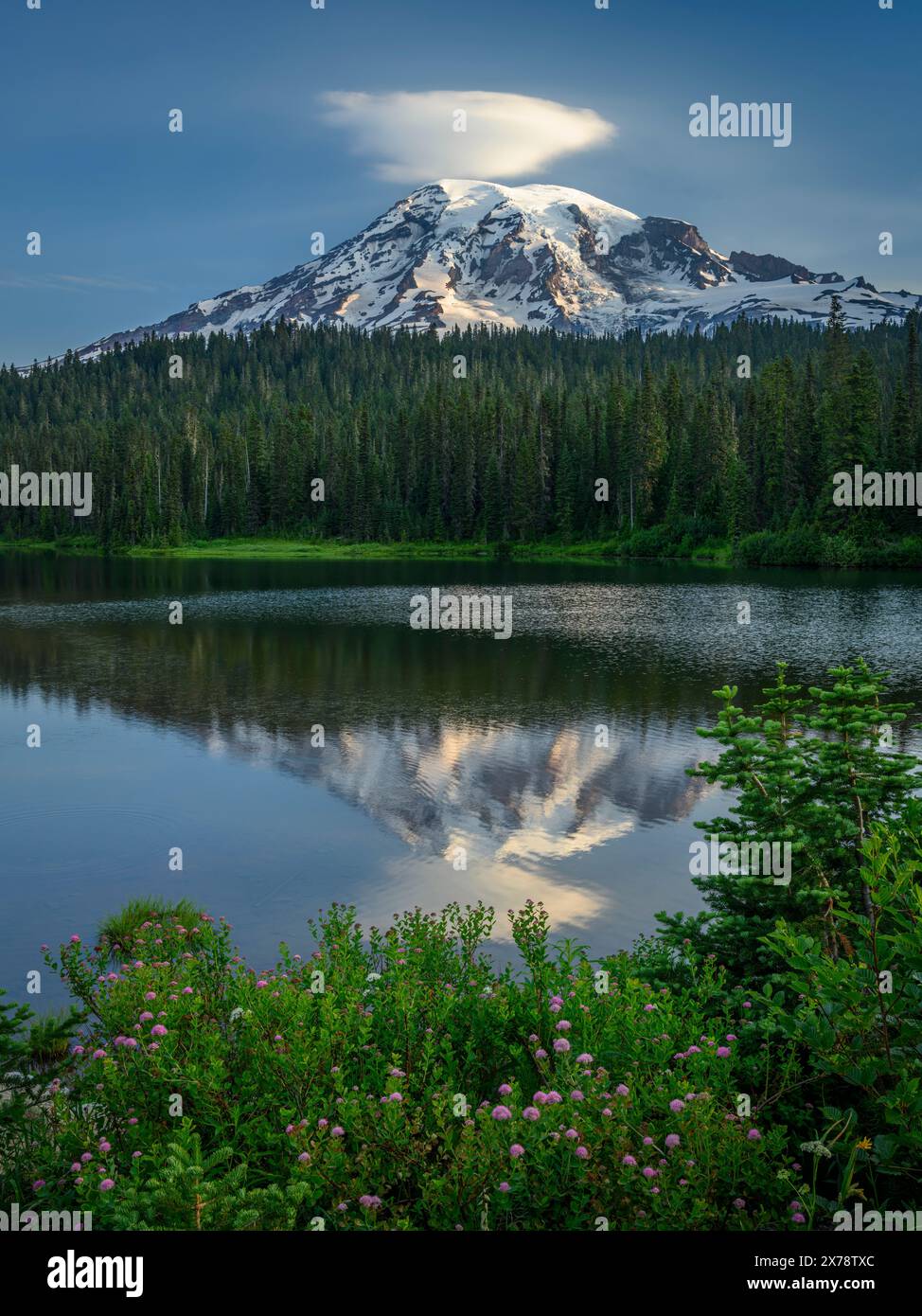 Le mont Rainier et de réflexion Lake ; Mount Rainier National Park, Washington. Banque D'Images