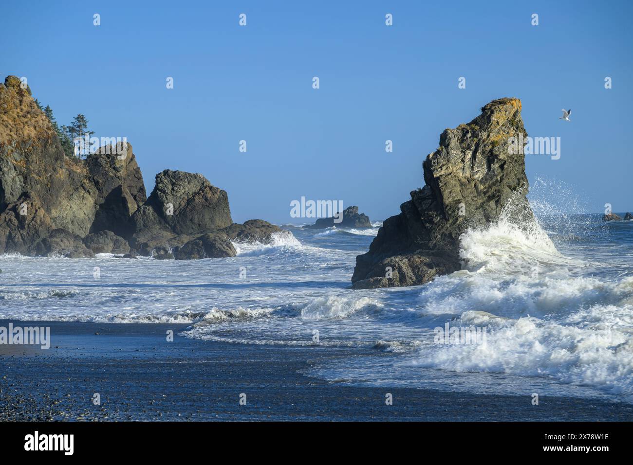Surf et Sea Stacks à Ruby Beach dans le parc national olympique, Washington, États-Unis. Banque D'Images Surf et Sea Stacks à Ruby Beach dans le parc national olympique, Washington, États-Unis. Banque D'Images