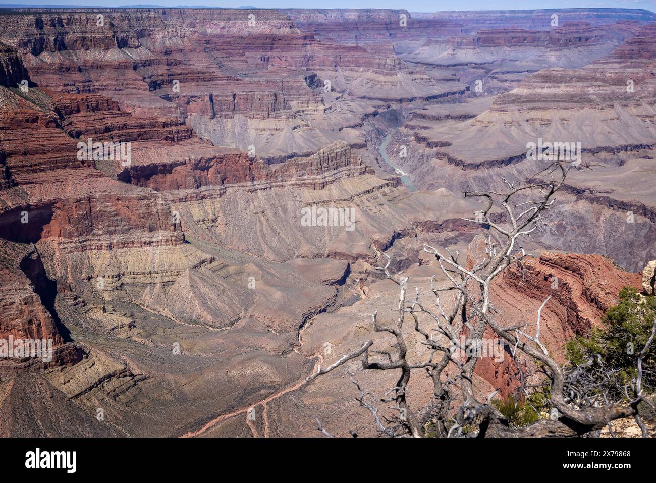 Vue spectaculaire sur le Grand Canyon depuis Mohave point sur la rive sud, Arizona, États-Unis le 28 avril 2024 Banque D'Images