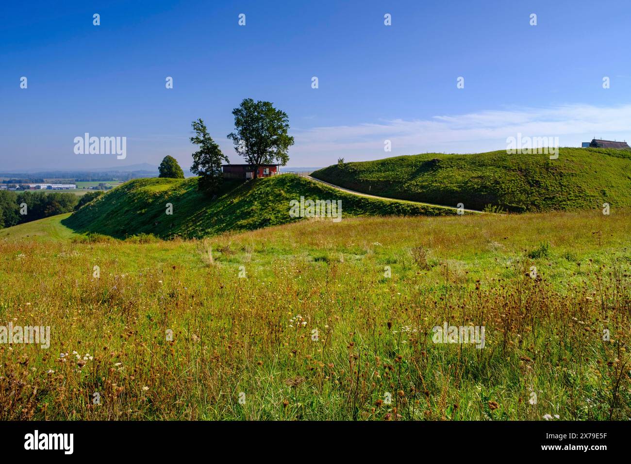 Heuneburg, fortification, Celtes, musée en plein air, musée celtique, ville celtique de Pyrène, Hundersingen, Herbertingen, Parc naturel du Danube supérieur Banque D'Images