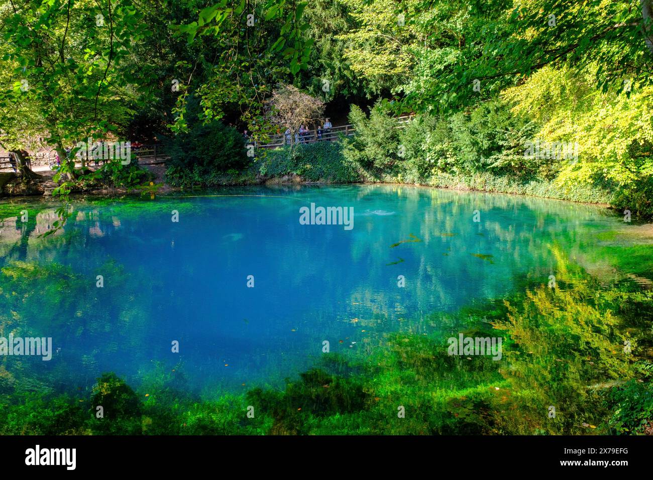 Blue Spring, karst pot, Blautopf, Blaubeuren, Souabe Alb, Bade-Wuertemberg, Allemagne Banque D'Images