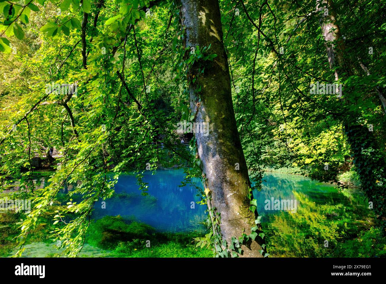 Blue Spring, karst pot, Blautopf, Blaubeuren, Souabe Alb, Bade-Wuertemberg, Allemagne Banque D'Images