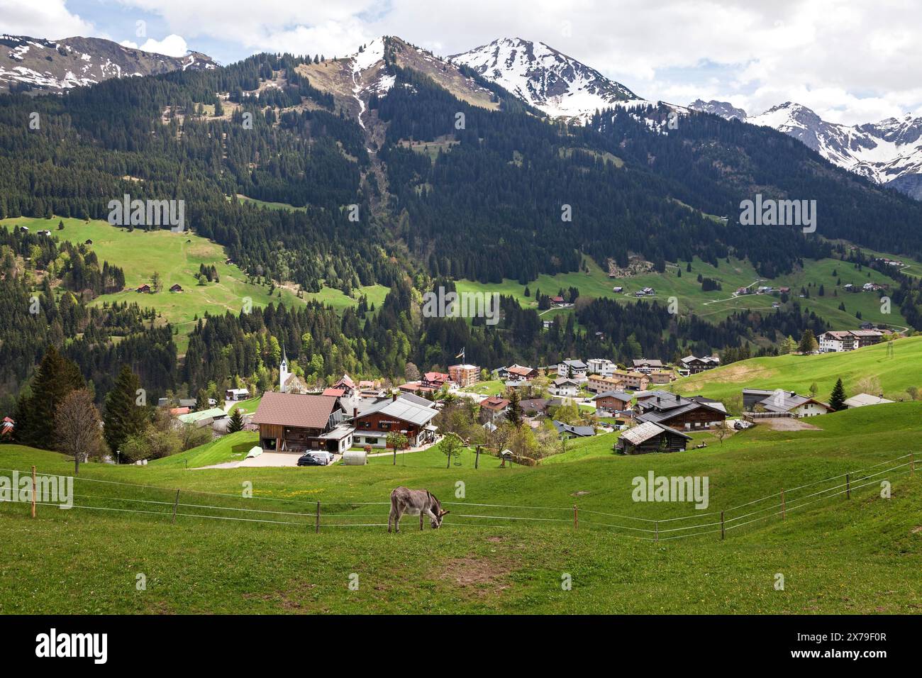 Vue de Mittelberg, montagnes arrière des Alpes Allgaeu, Kleinwalsertal, Vorarlberg, Autriche Banque D'Images