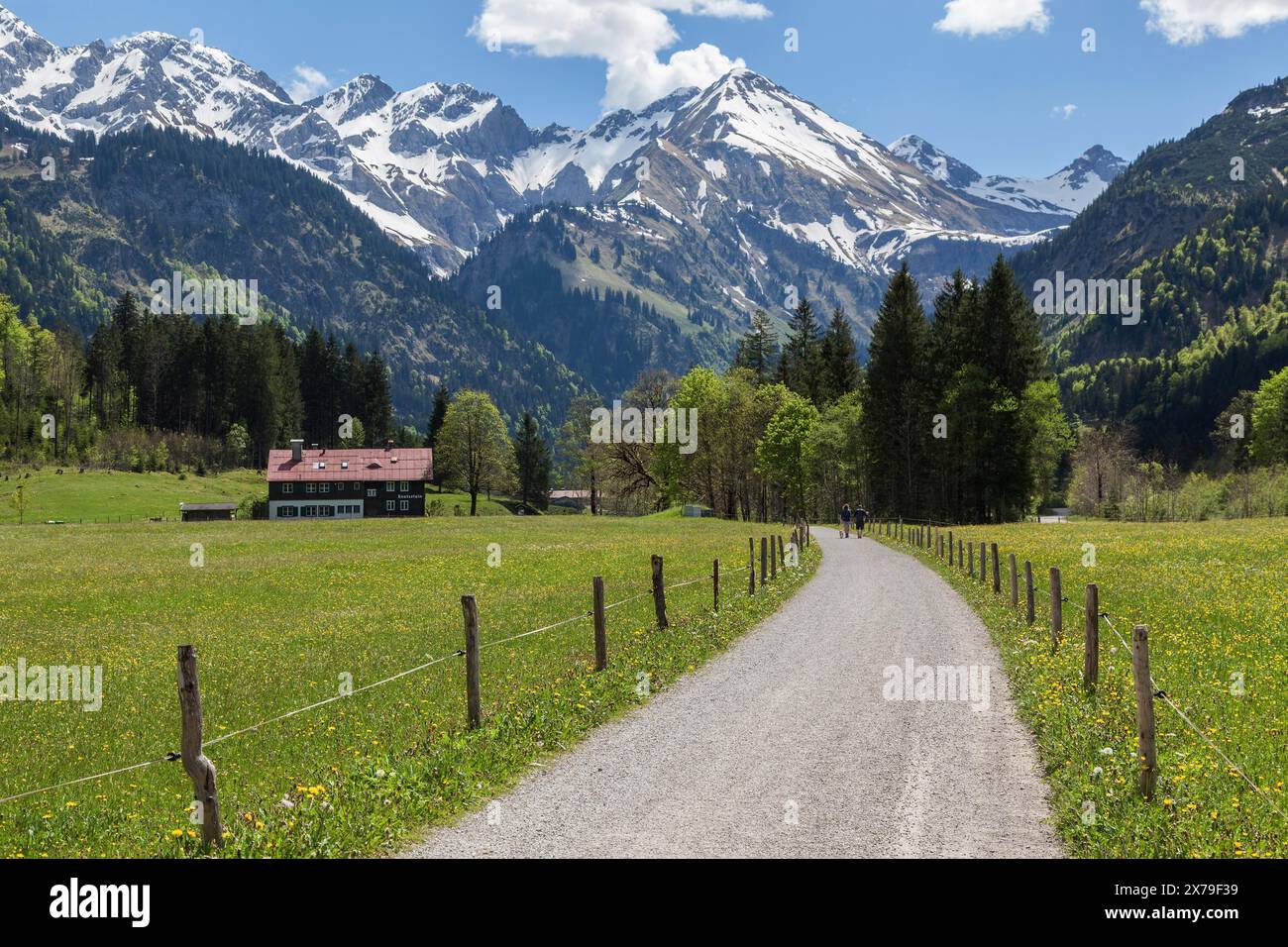 Sentier à Stillachtal, derrière les montagnes des Alpes Allgaeu, Birgsau, près d'Oberstdorf, Oberallgaeu, Allgaeu, Bavière, Allemagne Banque D'Images