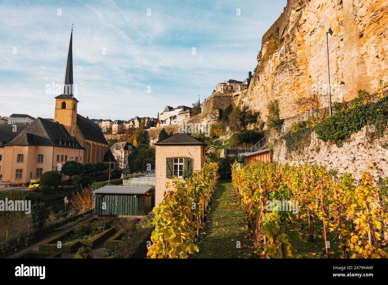 Un petit vignoble situé dans le Grund, un quartier pittoresque du Luxembourg situé sous les falaises du Bock. La flèche de l'abbaye de Neumünster jette un coup d'œil Banque D'Images